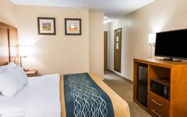 photo 4 of Comfort Inn