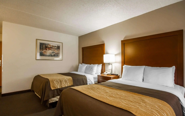 photo 3 of Comfort Inn & Suites Madison - Airport
