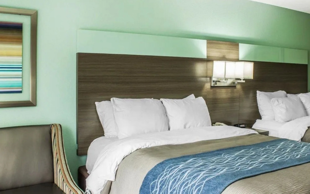 photo 4 of Comfort Inn Dunn