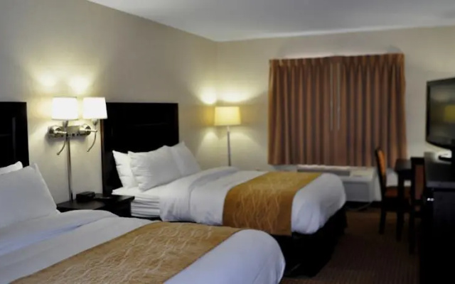 photo 3 of Comfort Inn