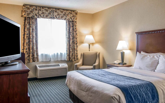 photo 4 of Quality Inn