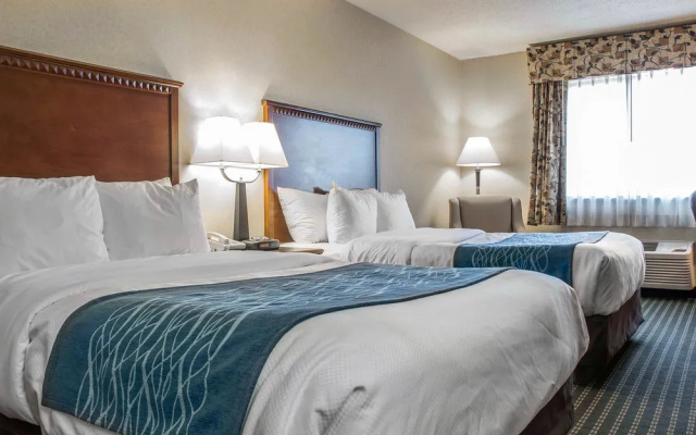 photo 5 of Quality Inn