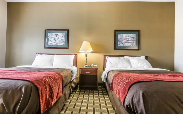 photo 3 of Comfort Inn