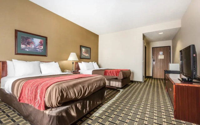 photo 5 of Comfort Inn