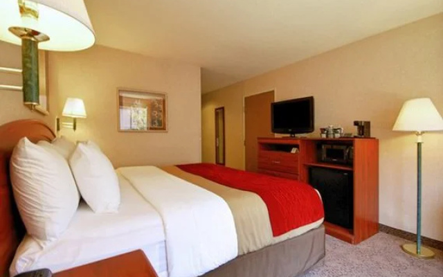 photo 3 of Comfort Inn