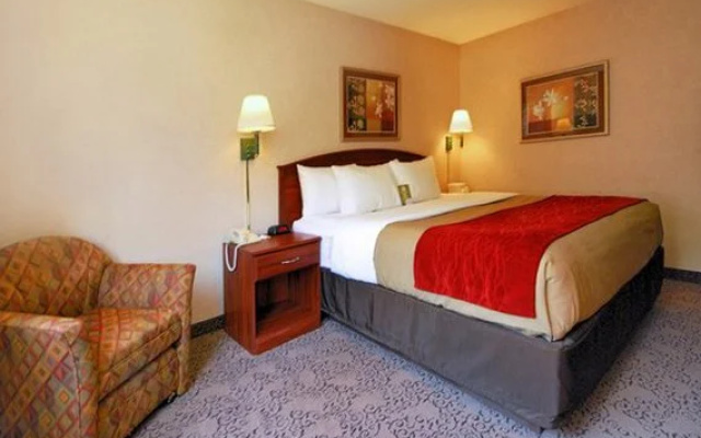 photo 5 of Comfort Inn
