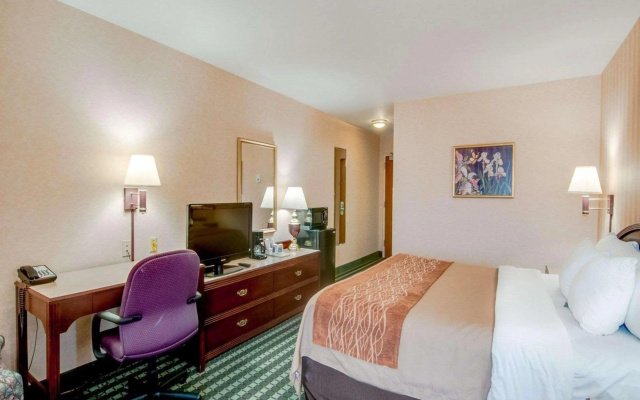 photo 3 of Comfort Inn Airport