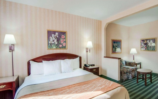 photo 4 of Comfort Inn Airport