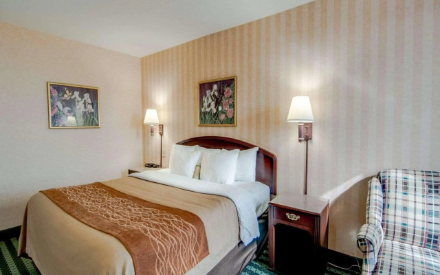 photo 5 of Comfort Inn Airport