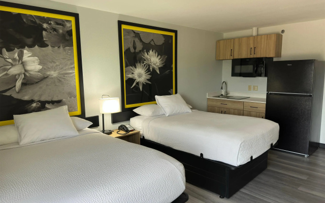 photo 4 of Super 8 by Wyndham Alexandria LA