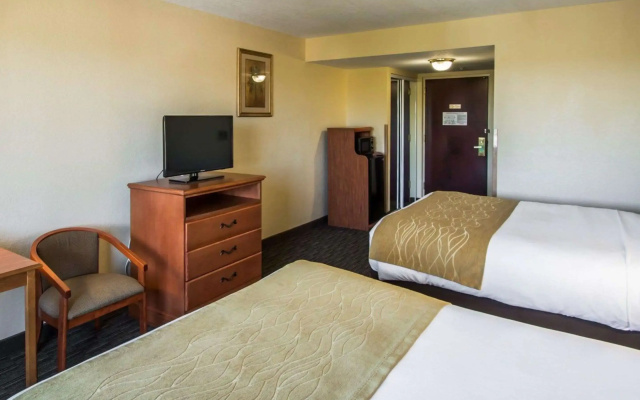 photo 3 of Comfort Inn & Suites Jupiter I-95