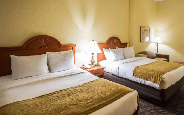 photo 5 of Comfort Inn & Suites Jupiter I-95