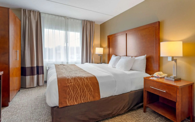 photo 4 of Comfort Inn & Suites Wilkes Barre - Arena
