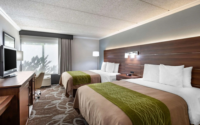 photo 5 of Comfort Inn Anaheim Resort