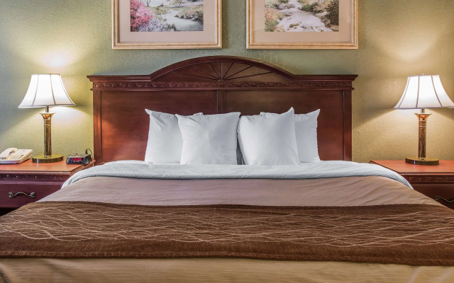 photo 5 of Quality Inn & Suites Ann Arbor Hwy 23