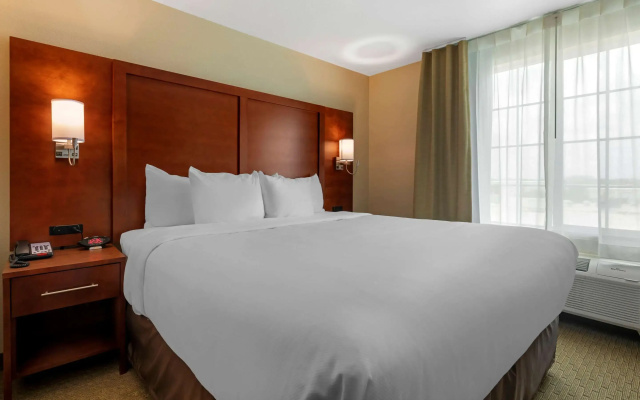 photo 5 of Comfort Inn & Suites Euless DFW West