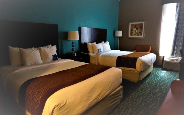 photo 4 of Comfort Inn & Suites Fort Lauderdale West Turnpike