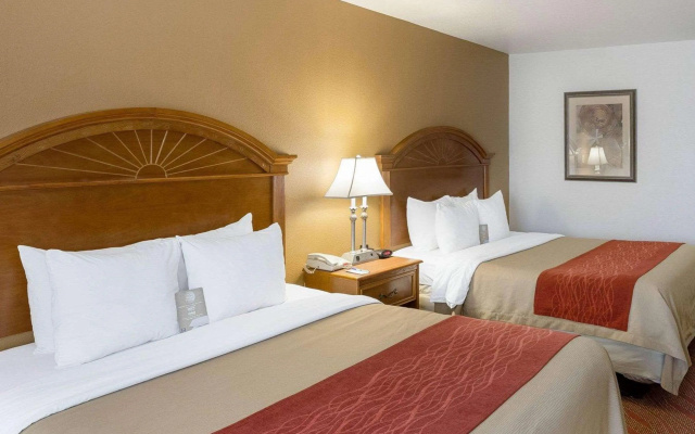 photo 5 of Comfort Inn & Suites Near Medical Center