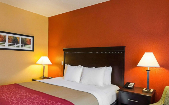 photo 4 of Comfort Inn & Suites Orange - Montpelier
