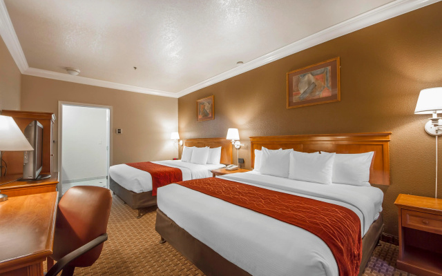 photo 3 of Comfort Inn and Suites San Francisco Airport North