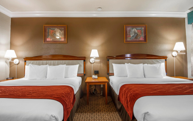 photo 4 of Comfort Inn and Suites San Francisco Airport North