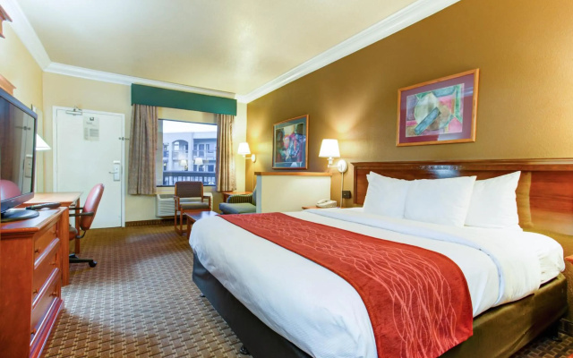photo 5 of Comfort Inn and Suites San Francisco Airport North