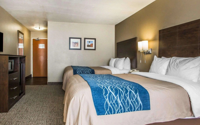 photo 2 of Comfort Inn & Suites Waterloo - Cedar Falls
