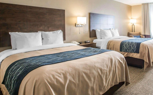 photo 4 of Comfort Inn & Suites Waterloo - Cedar Falls
