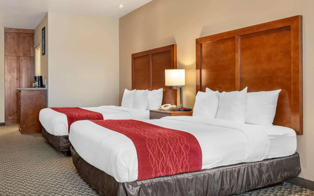 photo 3 of Comfort Inn at Convention Center