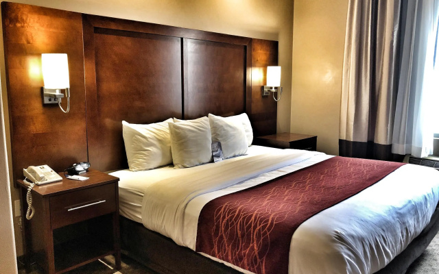 photo 4 of Comfort Inn at Convention Center