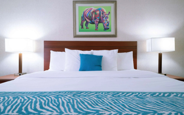 photo 3 of Comfort Inn at the Zoo