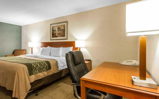 photo 5 of Comfort Inn at the Zoo