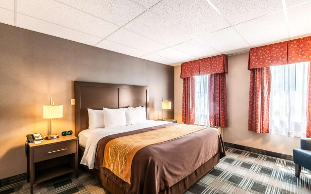 photo 5 of Comfort Inn Ballston