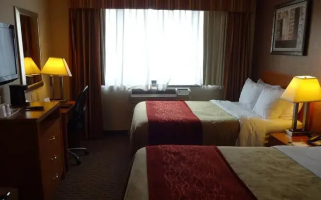 photo 2 of Comfort Inn Bellerose Queens