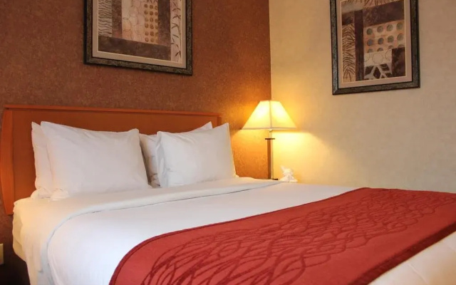 photo 5 of Bellerose Inn