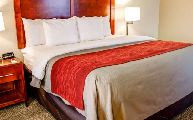 photo 4 of Comfort Inn Bessemer Birmingham South