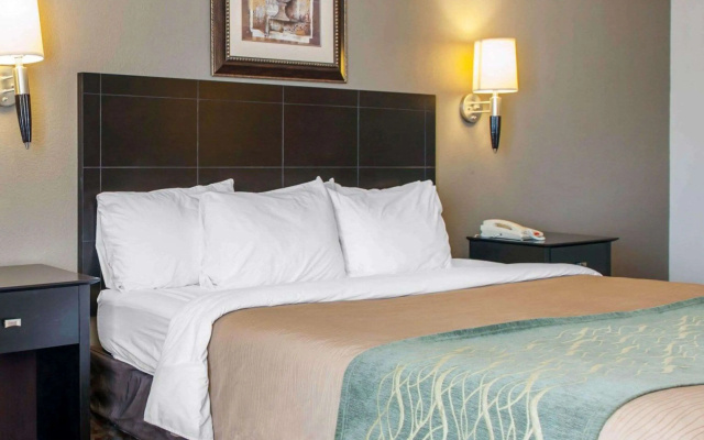 photo 3 of Comfort Inn
