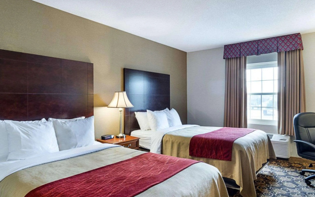 photo 3 of Comfort Inn Rockland - Boston