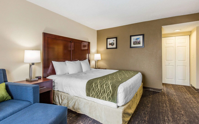 photo 5 of Comfort Inn College Park North