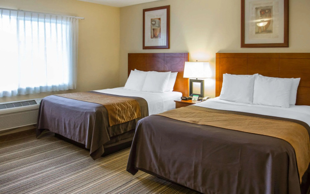 photo 4 of Comfort Inn Cockatoo near LAX Airport