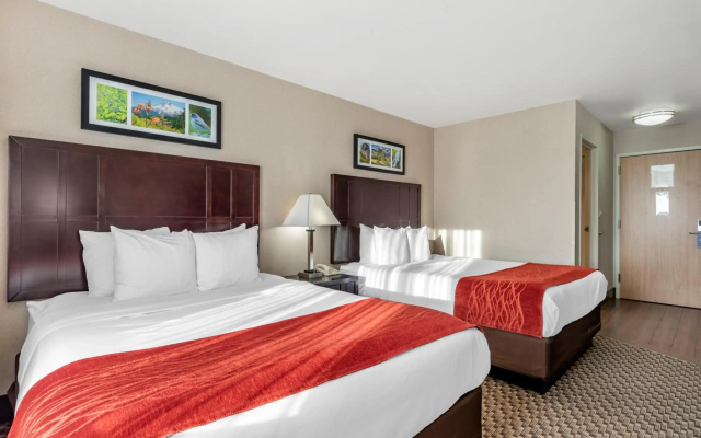 photo 5 of Comfort Inn Troutdale - Portland East