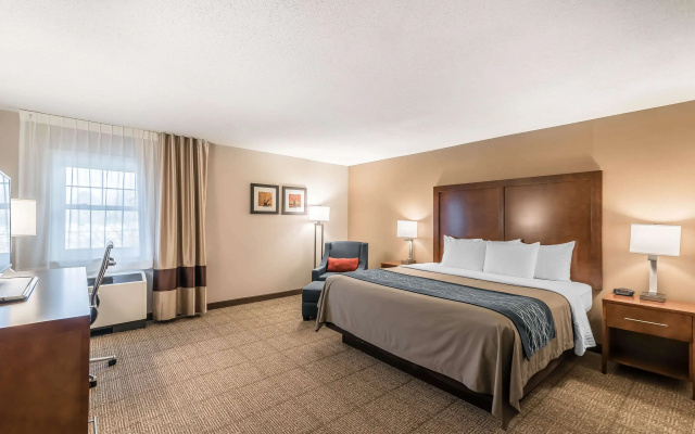 photo 5 of Comfort Inn Concord South End