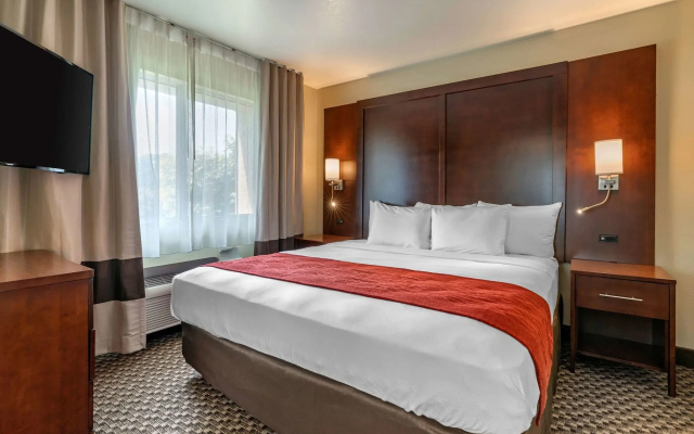 photo 5 of Comfort Inn Fairfield Napa Valley Area
