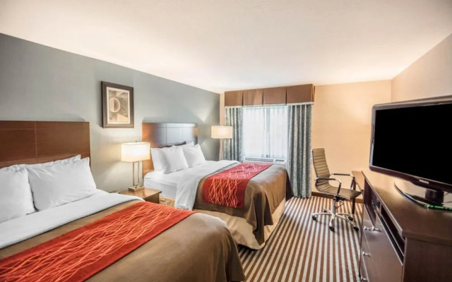 photo 4 of Comfort Inn Corning