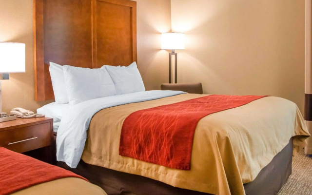 photo 4 of Comfort Inn Northeast