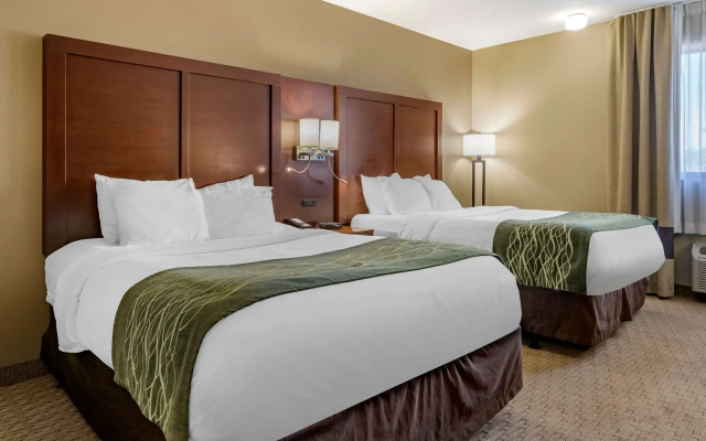 photo 4 of Comfort Inn Warren
