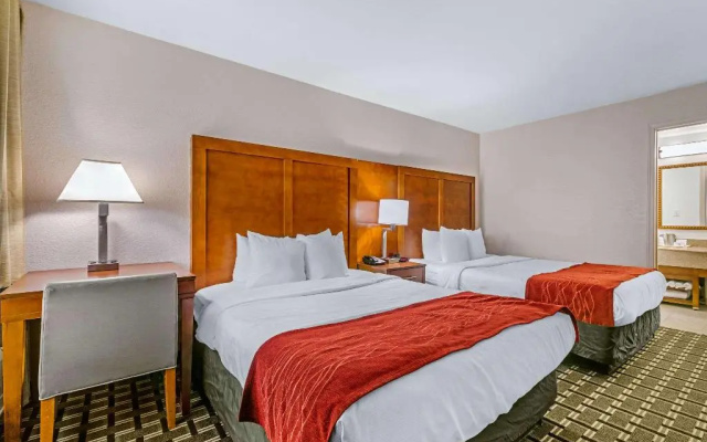 photo 2 of Comfort Inn Downtown