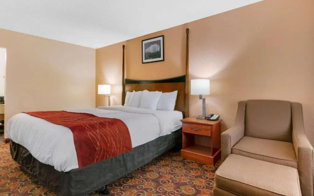 photo 3 of Comfort Inn Downtown