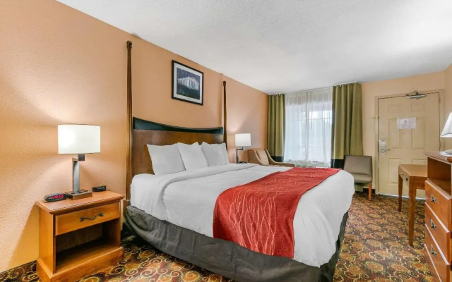 photo 4 of Comfort Inn Downtown