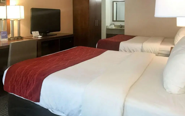 photo 5 of Comfort Inn Downtown
